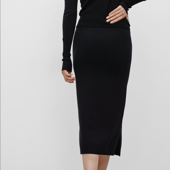 Aritzia Dresses & Skirts - aritzia wool skirt